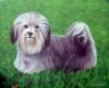 chuchy by Nuria Lamsdorff
