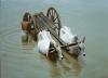 Washing by Nuria Lamsdorff