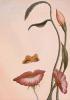 Mouth of the Flower by Octavio Ocampo