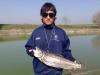 trotone 3.2 kg