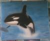 orca by  Peps