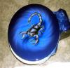 Scorpion by  Philippe