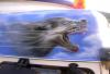 Wolf by  Philippe