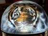 Tiger by  Philippe