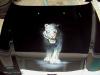 Withe Tiger by  Philippe