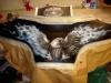 Eagle by  Philippe