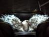 Eagle by  Philippe