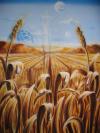 campo by Pietro Mari