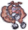 Maddog workout