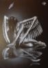 angelo esausto 2 by  Pt Design