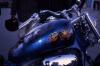Honda Shadow by  Quart