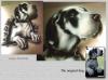 wheelcover Dog by Ralf R-Brush