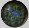 grey-parrot by Ralf R-Brush