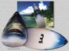 surfboard shark by Ralf R-Brush