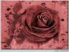 rose III by Ralf R-Brush