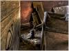witness to history by Ralf R-Brush