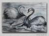 a happy couple of swan by Ralf R-Brush