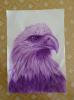 eagle by Antonio D' Raziel9