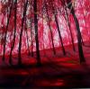 Bosco in rosso by Angelo Ribezzi