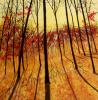 Bosco della luce by Angelo Ribezzi