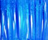 Rappresentazione visionaria di un bosco in blu by Angelo Ribezzi