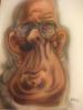 Sor Capuani by Paolo Volp Pro Brush