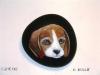 cucciolone di beagle by Samantha Abis