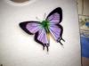 Butterflies by  Dirt Paint
