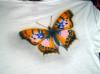 Butterflies by  Dirt Paint