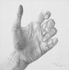  by Sheila Pizzighello