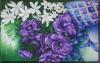 fiori viola by Sheila Pizzighello