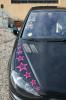 peugeot_2 by Sheila Pizzighello