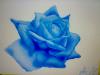 Rosa blu by Spider-90 Spider-90
