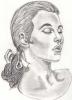 Disegni