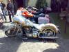 una Harley per ELVIS by Stefano Mast Design