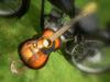 guitar by Michael Starzengrub