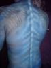 rear in bad light :) by Eva-Lena Brat?&bull;s
