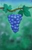 Blu spot two by  Tommaso1359