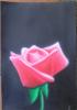 Fiore by  Tommaso1359
