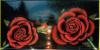 rose by  Tony