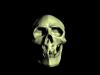 Skull by  Trihall