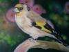 cardellino by  Tuzzo Art