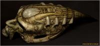 Oakley Display by Larry Espino Hi Warriors