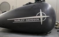 harley tank by Gary Zuyus