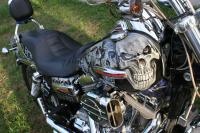 Skull bike finished by Gary Zuyus