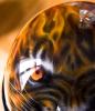tiger helmet by Willi Kodym