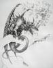 dragon by Willi Kodym